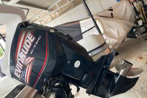 Evinrude Ho 150cv