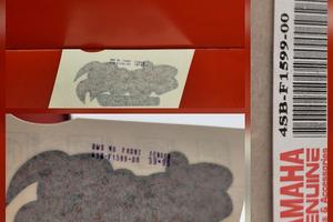 RICAMBI BWS 50 100 BW'S