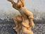 Immagine 6