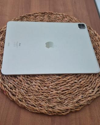 iPad Pro 12 9" 256 gb