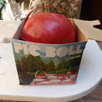 Pic boll Guzzini designer Carlo Viglino