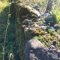 Sassi per muro o giardino rocce roccioso