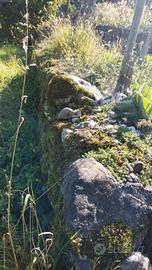 Sassi per muro o giardino rocce roccioso