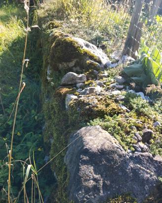 Sassi per muro o giardino rocce roccioso