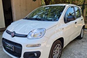 Fiat Panda 1.2 benz 2019 - INCIDENTATA