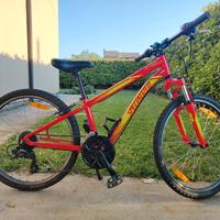 MTB ragazzo Specialized Hot Rock