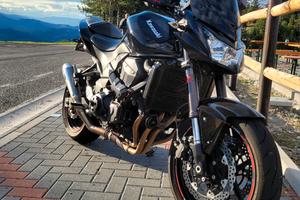 Kawasaki Z750 (2008)