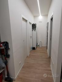 Quattro camere citta' studi milano