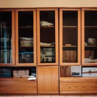 libreria di legno (non truciolato) con vetrine 