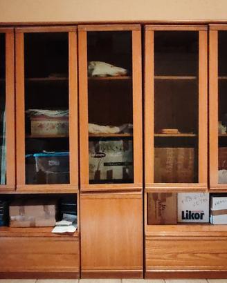libreria di legno (non truciolato) con vetrine 