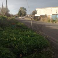 Terreno - Motta Sant'Anastasia