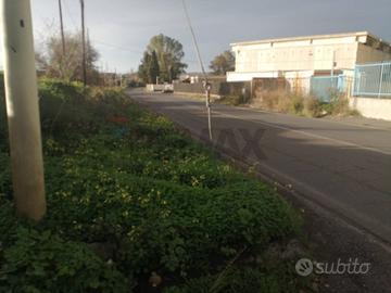 Terreno - Motta Sant'Anastasia