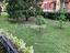 Immagine 9