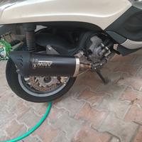 marmitta mivv mover per Beverly 300