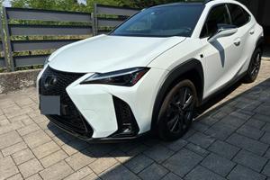 Lexus ux 250   4wd