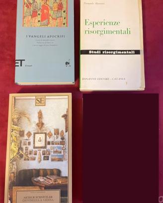 3 libri vangeli apocrifi, Giovinezza a Vienna, Esp