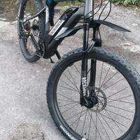 bicicletta elettrica