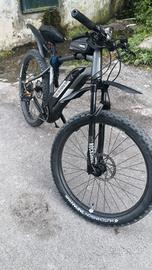 bicicletta elettrica