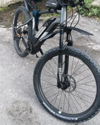 bicicletta elettrica