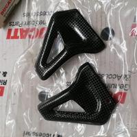 Paratacchi Pass in carbonio per Ducati monster