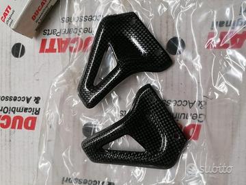 Paratacchi Pass in carbonio per Ducati monster