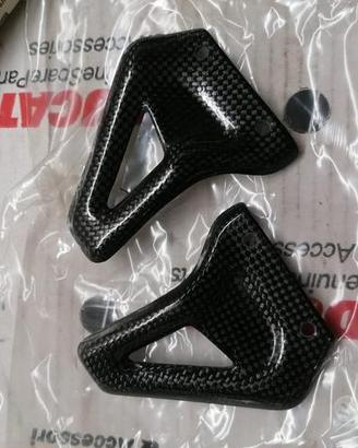 Paratacchi Pass in carbonio per Ducati monster