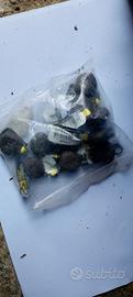 Piombi pesca carpfishing 48g method feeder