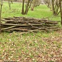 legna nocciolo da ardere