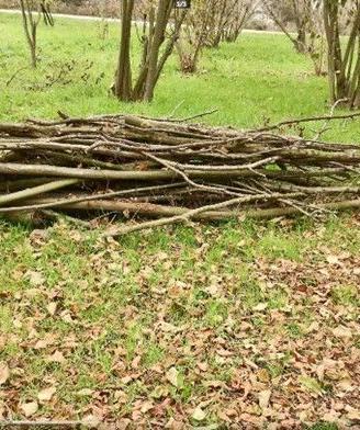 legna nocciolo da ardere