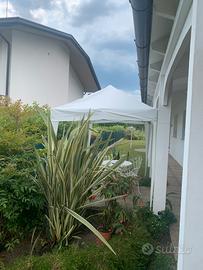 Gazebo Bianco 3X2 metri in Acciaio da Giardino