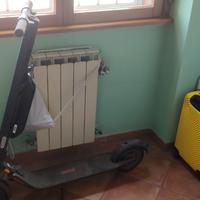 Monopattino elettrico Ninebot E45E