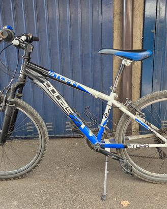 mountain bike 24