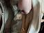 Immagine 3