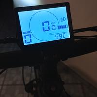 e bike molicycle R1