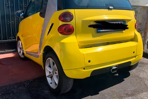 Smart diesel  451