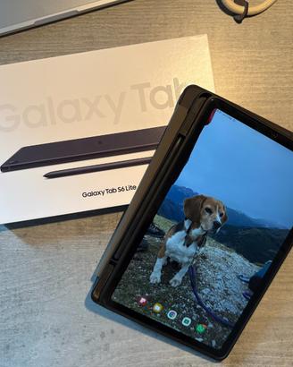 Samsung tab s6 lite 2024