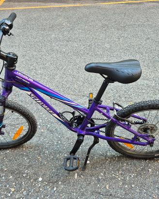 bici specialized