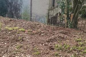 Tsmcv227/2025 fabbricato con terreno