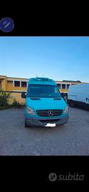 Mercedes sprinter 313