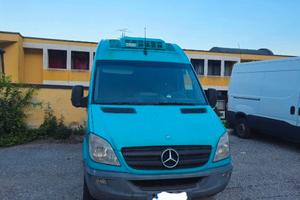Mercedes sprinter 313
