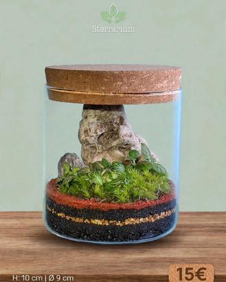 terrarium by Sterrarium 🌺