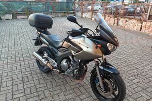 Tdm 900 ABS