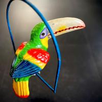 Tucano Sud Americano Cartapesta da collezione