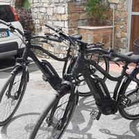  2 biciclette elettriche  Haibike ibride 