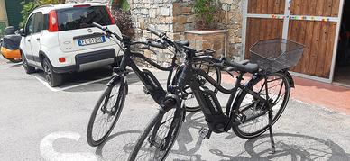  2 biciclette elettriche  Haibike ibride 