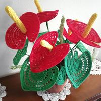 Vaso di anthurium ad uncinetto