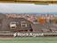 Immagine 20