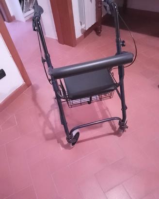 deambulatore 