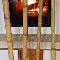 didjaredoo / didgeridoo 