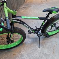  fat bike 